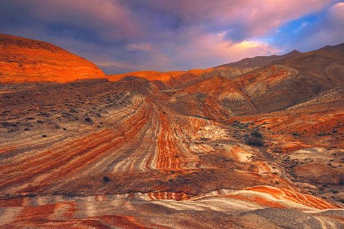  - Image 5
